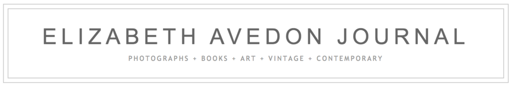 Elizabeth Avedon Journal